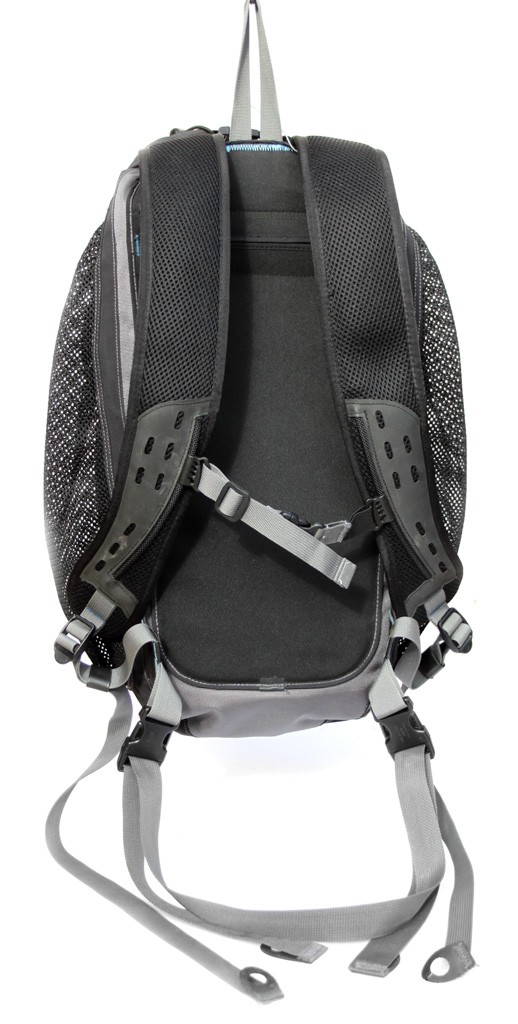 Back of pack with waist and chest straps