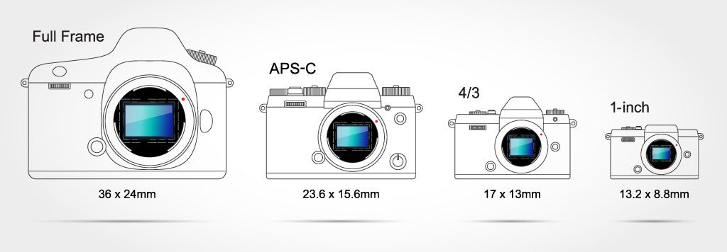 Sensor sizes of mirrorless cameras compared to DSLRs